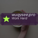 wuqysee.pro